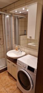 a bathroom with a washing machine and a sink at Ferienapartment Meiss in Erdeborn +22 photos