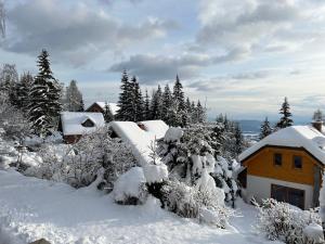 dom pokryty śniegiem przed drzewami w obiekcie Cottage House Jakob w mieście Cerklje na Gorenjskem