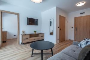 Televízia a/alebo spoločenská miestnosť v ubytovaní Apartamenty na Uroczysku