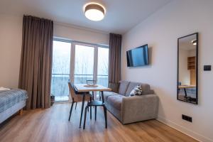 Televízia a/alebo spoločenská miestnosť v ubytovaní Apartamenty na Uroczysku