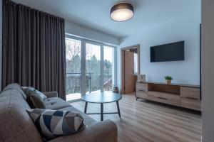 Televízia a/alebo spoločenská miestnosť v ubytovaní Apartamenty na Uroczysku