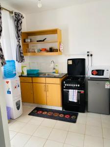 a kitchen with a stove and a sink at Lynne’s Cozy studio in Nairobi