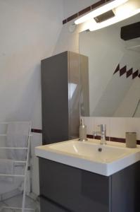 ein Bad mit einem Waschbecken und einem Spiegel in der Unterkunft Bretzel & Raisin - Hypercentre de Colmar in Colmar