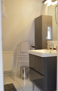 ein Bad mit einem Waschbecken und einem WC. in der Unterkunft Bretzel & Raisin - Hypercentre de Colmar in Colmar