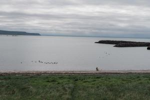 Paesaggio naturale nelle vicinanze dell'affittacamere
