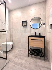 La salle de bains est pourvue d'un lavabo et d'un miroir. dans l'établissement Appartement 400 m du centre, à Louhans