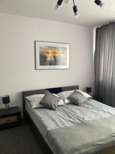 Posteľ alebo postele v izbe v ubytovaní Apartament i pokoje Szalawa