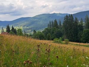 Príroda v okolí penziónu