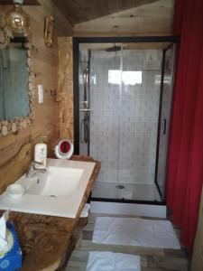 a bathroom with a sink and a shower at Chalet Cricri Domaine de la Mamounette in Champclause