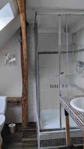 a bathroom with a shower and a toilet and a sink at Agroturystyka SPA in Zelków