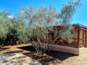 Φωτογραφία από το άλμπουμ του Gabi Mobile home σε Banj