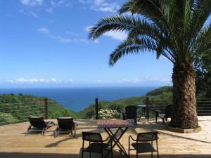 una terraza con sillas, una palmera y el océano en Igeldo, en Orio