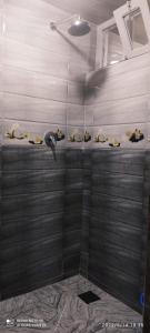 a shower stall with figurines of animals on the wall at Residence el khanchi in Laayoune