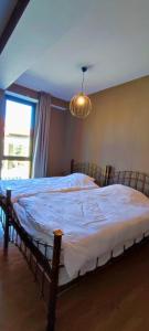 Postel nebo postele na pokoji v ubytování Cozy Flat in Bakuriani