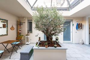 a courtyard with a tree in the middle of a room at Little Square Arona in Arona