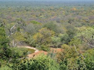 una vista aérea de un bosque con un río en Ehlathini Game Lodge, en Marken 6 fotos más