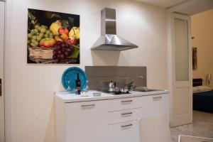 A cozinha ou kitchenette de Apollo Suites