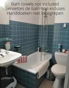 a bathroom with a tub and a toilet and a sink at Le 7ème Ciel Westende in Middelkerke