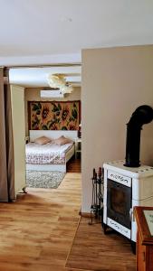 Zelków的住宿－Agroturystyka SPA，带壁炉的客厅和1间带1张床的卧室