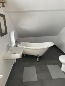 a bathroom with a tub and a sink and a toilet at Madarasi Sportbázis in Căpîlniţa