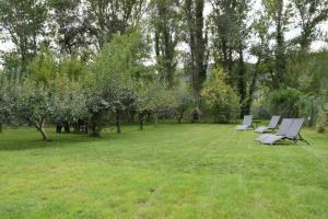 a group of chairs sitting in a grass field at Apartamentos Ordesa Ainsa in Aínsa