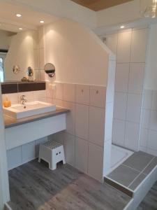 ein Bad mit einem Waschbecken und einer Dusche in der Unterkunft Insel Hus in Fehmarn