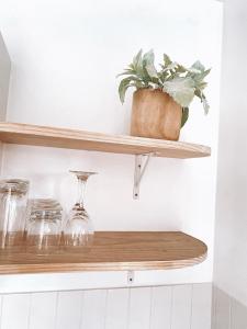 a shelf with a plant and glasses on it at The Hideaway - Guest House in Warrnambool