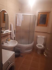 a bathroom with a shower and a toilet and a sink at House with big garden next to the mountain river in Kruševo