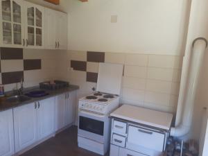 a small kitchen with a stove and a sink at House with big garden next to the mountain river in Kruševo