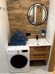W łazience znajduje się pralka i umywalka. w obiekcie Wood Apartment z Konsola X-Box w mieście Katowice