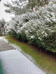A garden outside Dunakanyar, Szentendrei sziget Szamóca Vendégház Horány télen nyáron