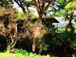 una casa en medio de algunos árboles en Tree Tops Guest Farm en Isidule