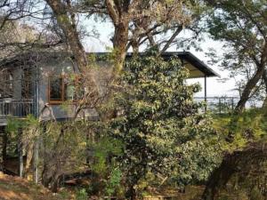 a house is seen from behind a tree at Tree Tops Guest Farm in Isidule +6 photos