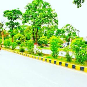 a yellow and black curb next to a park with trees at New Pakeeza Hotel in Lahore +72 photos