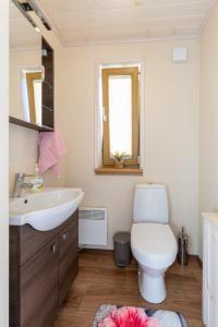 a bathroom with a white toilet and a sink at Vergi puhkemajad in Vergi