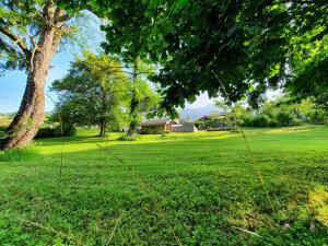 un campo de césped verde con un árbol y una casa en La belle des praz, en Mieussy