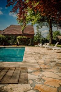 ein Haus mit einem Pool und einem Baum in der Unterkunft Relais M B&B in Frasnes-lez-Anvaing