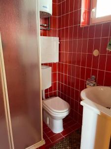 a red tiled bathroom with a toilet and a sink at Apartma Tisa in Zreče