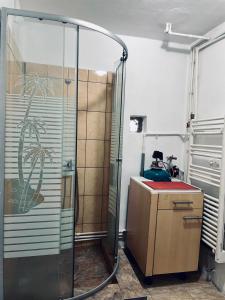 Vonios kambarys apgyvendinimo įstaigoje Vila Pityu