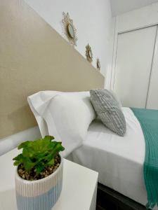 a bedroom with a bed and a plant on a table at GATU Villa Camarote con vistas al mar in Cádiz