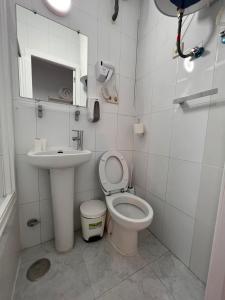 een kleine badkamer met een toilet en een wastafel bij CH Barco in Madrid