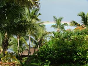 un grupo de palmeras frente a una casa en Maya-Abiki Mauritius en Albion
