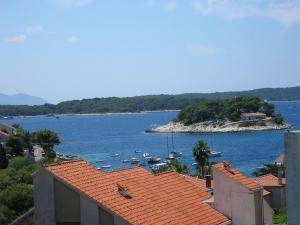 uma vista de uma grande massa de água com barcos em Villa Jadranka em Hvar