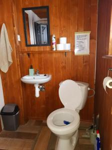 ein Bad mit einem WC und einem Waschbecken in der Unterkunft Chata Daniela in Dedinky