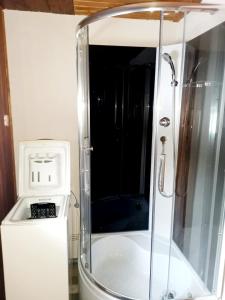 a shower with a glass door next to a toilet at Chata Daniela in Dedinky