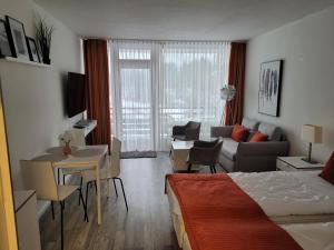 - une chambre avec un lit et un salon dans l'établissement Apartment mit Seeblick Vier Jahreszeiten, à Hahnenklee