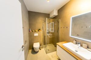 a bathroom with a shower and a sink and a toilet at Apartman Cornus - Oravská Lesná in Oravská Lesná +19 photos