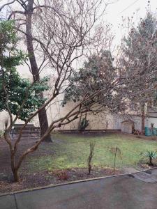 a tree in a yard next to a building at 3-rooms apartment for up to 4 persons near to Prater in Vienna