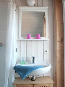 パーペンブルクにあるFerienwohnungen im Schwedenstilのバスルーム(洗面台、鏡付)