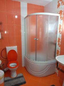 a bathroom with a shower with a toilet and a sink at Casa David in Gîrda de Sus